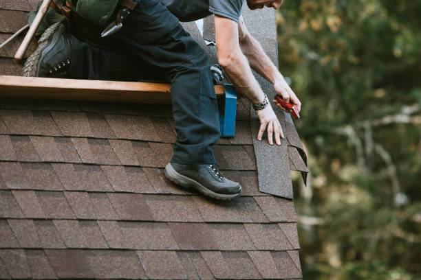 Roof Gutter Cleaning in Clintwood, VA